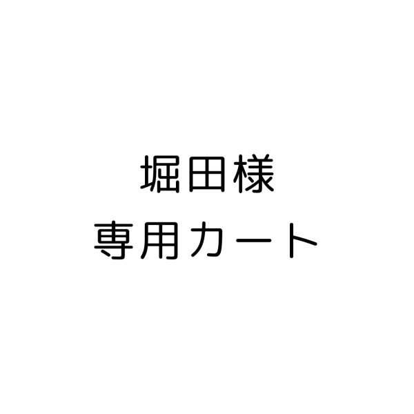 画像1: 堀田様 専用カート (1)