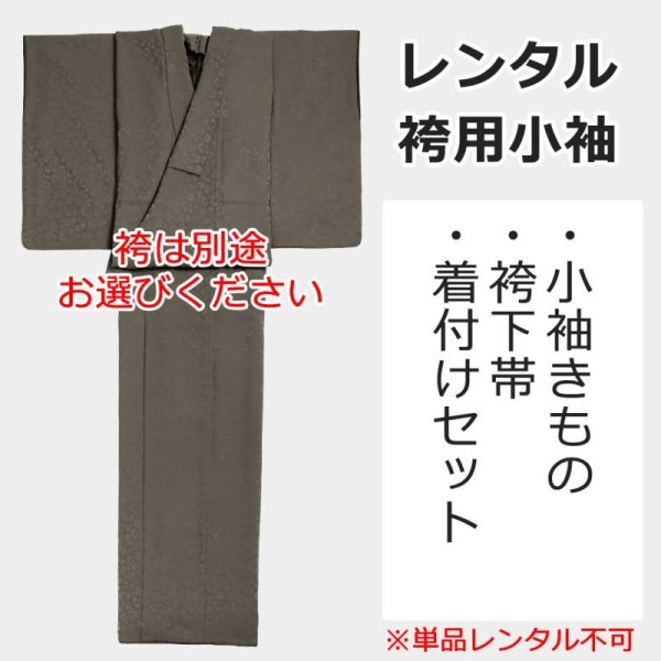 画像1: レンタル卒業袴用小袖：Chitraka＜チートラッカ＞グレージュ※単品レンタル不可 (1)