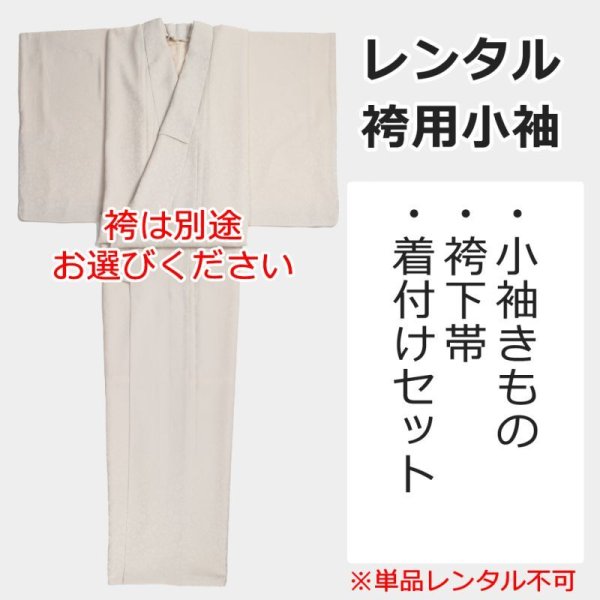 画像1: レンタル卒業袴用小袖：Chitraka＜チートラッカ＞シェル※単品レンタル不可 (1)